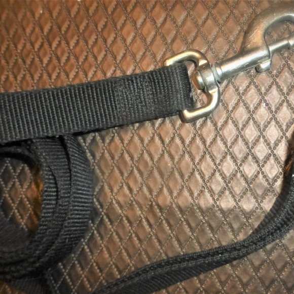 ST5 - Lot of DOG GEAR Size M-L Dog Collar Dog Leash Dog Coat Dog Jacket - Picture 11 of 11